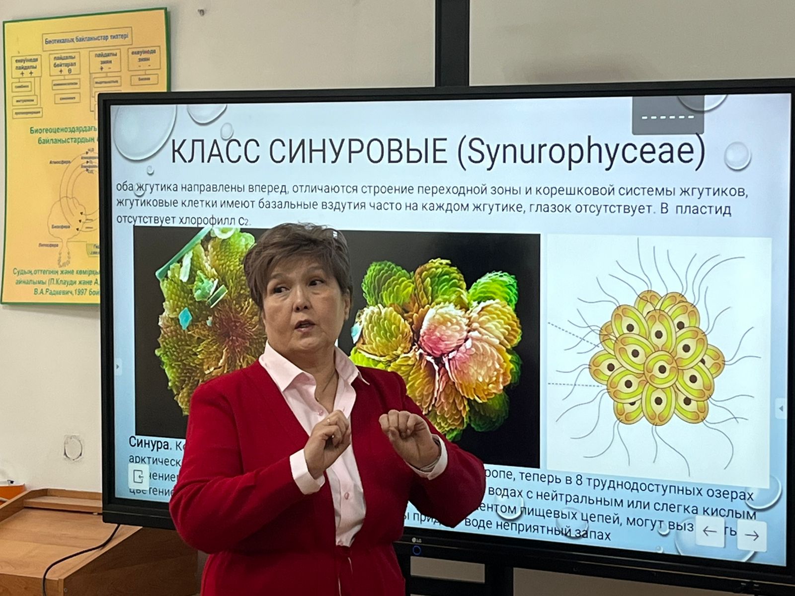 Профессор Назарбекова Салтанат Төлепбекқызының ашық дәрісі: «Охрофитті балдырлардың қазіргі заманғы жүйесі. Ochrophyta бөлімі»